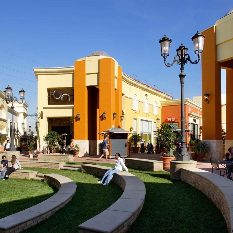 Bella Terra Wiseman Rohy